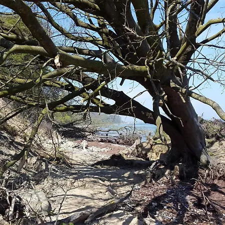 Feriehus 4 Star In Sydals