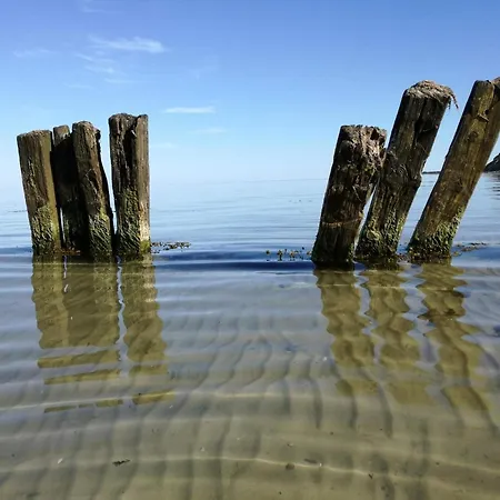 4 Star In Sydals Feriehus *