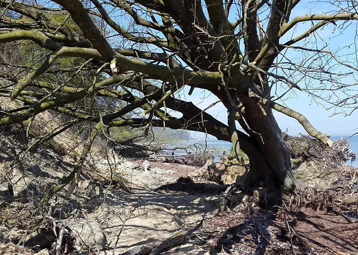 Vakantiehuis 4 Star In Sydals